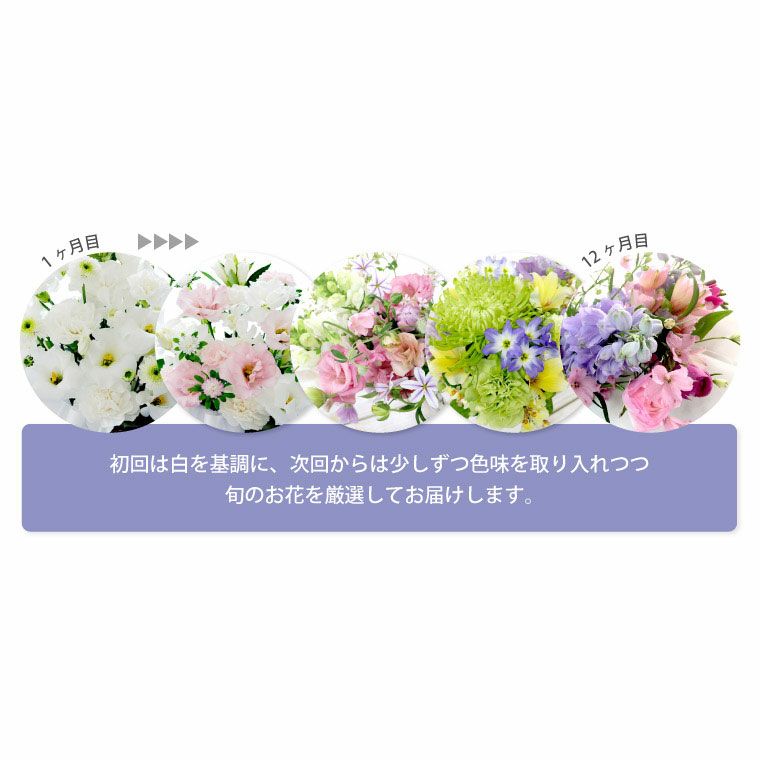 お花の定期便(月命日) 虹コース6ヶ月 Lサイズ お供え 生花