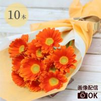 ガーベラの花束 10本