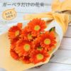 ガーベラの花束 10本・花言葉 "希望・前進" 生花