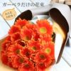 ガーベラの花束 30本・花言葉 "希望・前進"』 生花