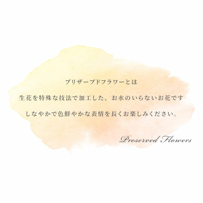 花電報・祝電』 プリザーブドフラワー