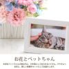 ペットちゃん 星になったあの子へ・AB お供え 生花