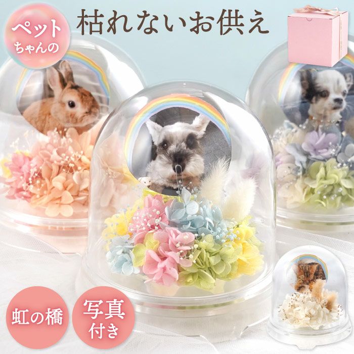 ペットちゃんのメモリーポット お供え プリザーブドフラワー