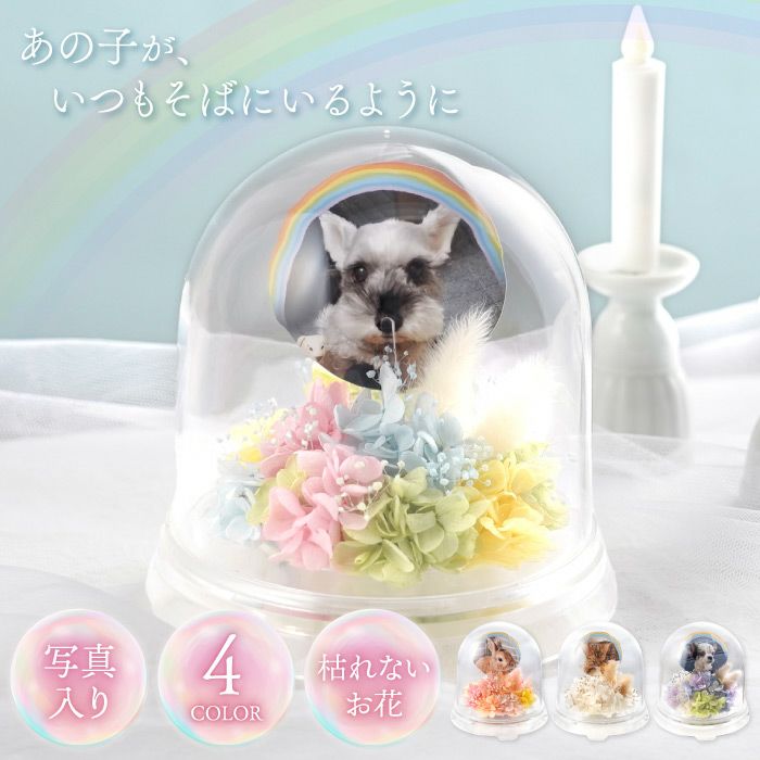 ペットちゃんのメモリーポット お供え プリザーブドフラワー