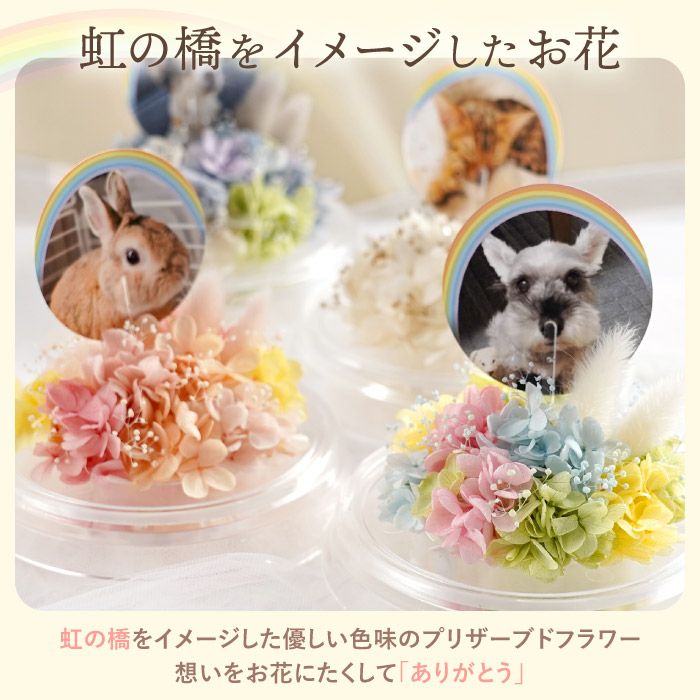 ペットちゃんのメモリーポット お供え プリザーブドフラワー