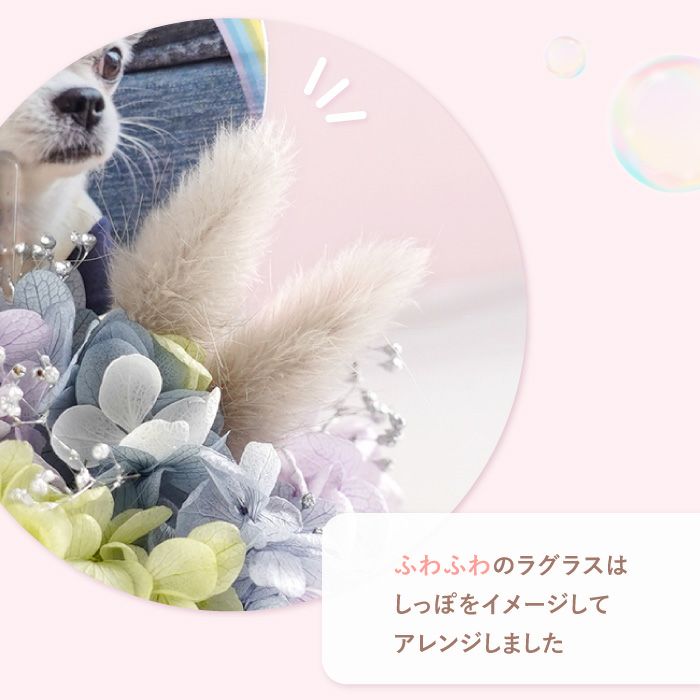 ペットちゃんのメモリーポット お供え プリザーブドフラワー