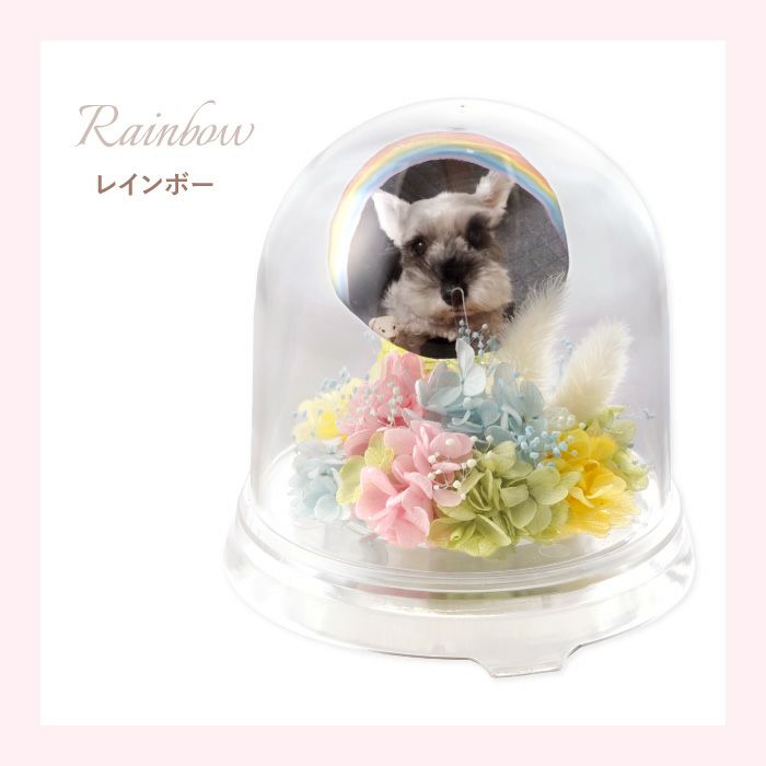 ペットちゃんのメモリーポット お供え プリザーブドフラワー