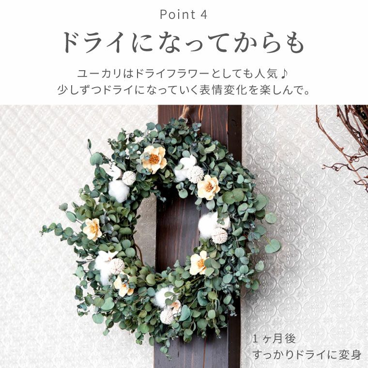 最適な価格 実付きのユーカリや白いシンカルファを丁寧に紡いだ 三日月 フラワー・リース
