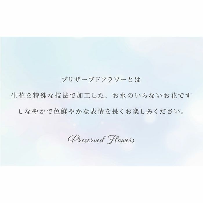 花電報 弔電 お供え プリザーブドフラワー