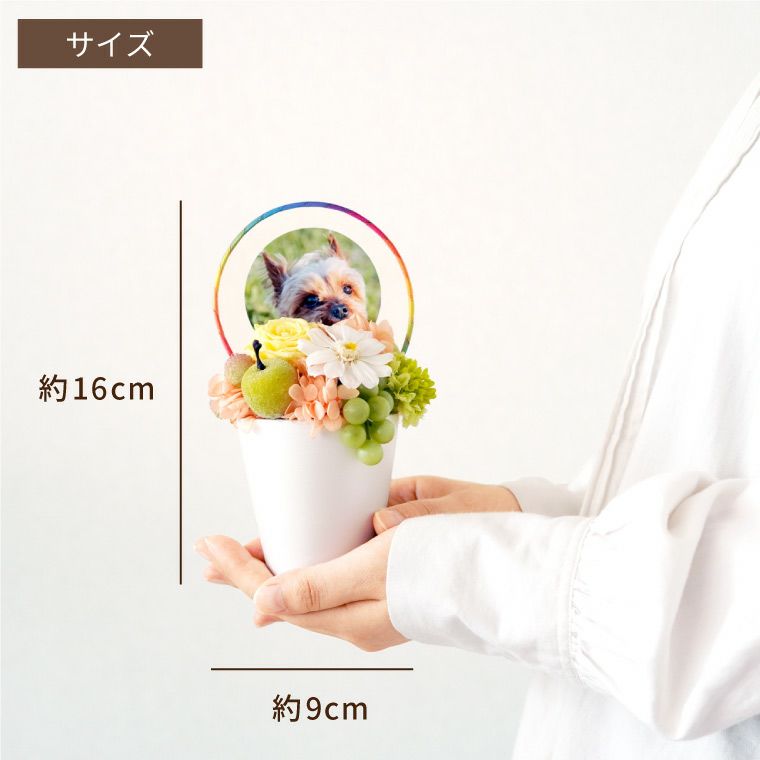 ペットちゃんの虹の橋 お供え プリザーブドフラワー