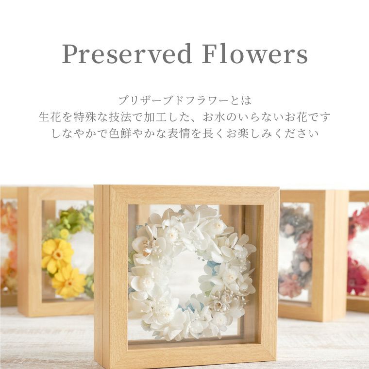 ジニアとイモーテルのリース プリザーブドフラワー