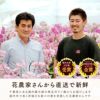 椎名洋ラン園の選べるミディ胡蝶蘭