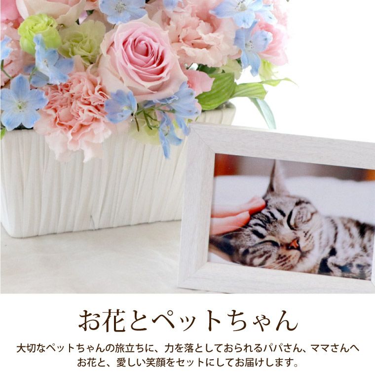 ペットちゃん 星になったあの子へ・AC お供え 生花