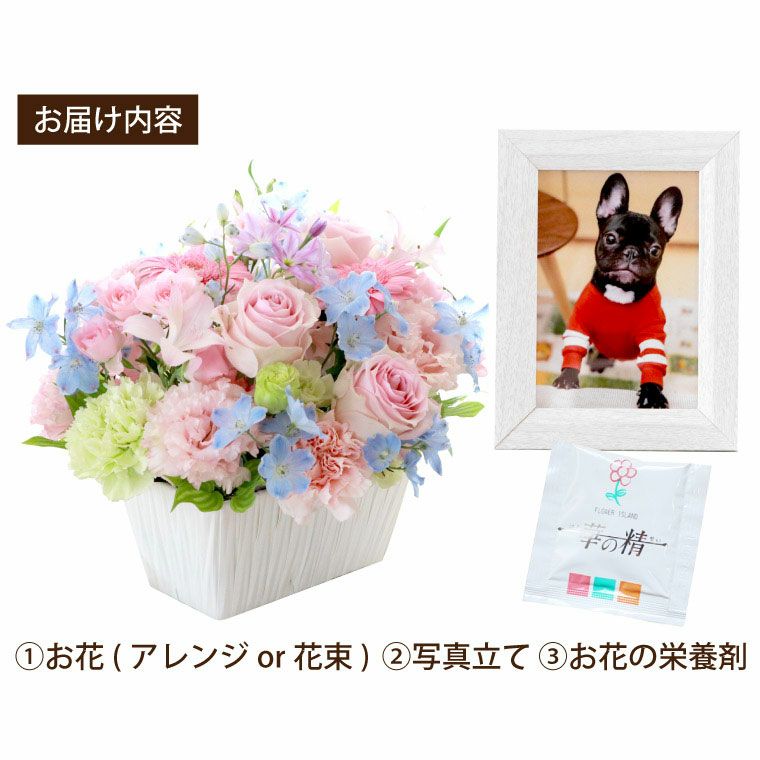 ペットちゃん 星になったあの子へ・AC』お供え 生花 | 横浜花