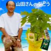 山田さんのぶどうの鉢植え