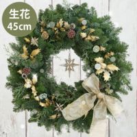 ヒイラギとヘルンフートのクリスマスリース･生 45cm