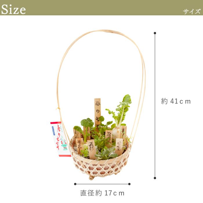 春の七草籠＆食べれる七草・2点セット