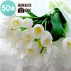 白いチューリップの花束・50本 お供え 生花