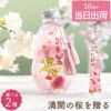 桜 ハーバリウム・Lサイズ