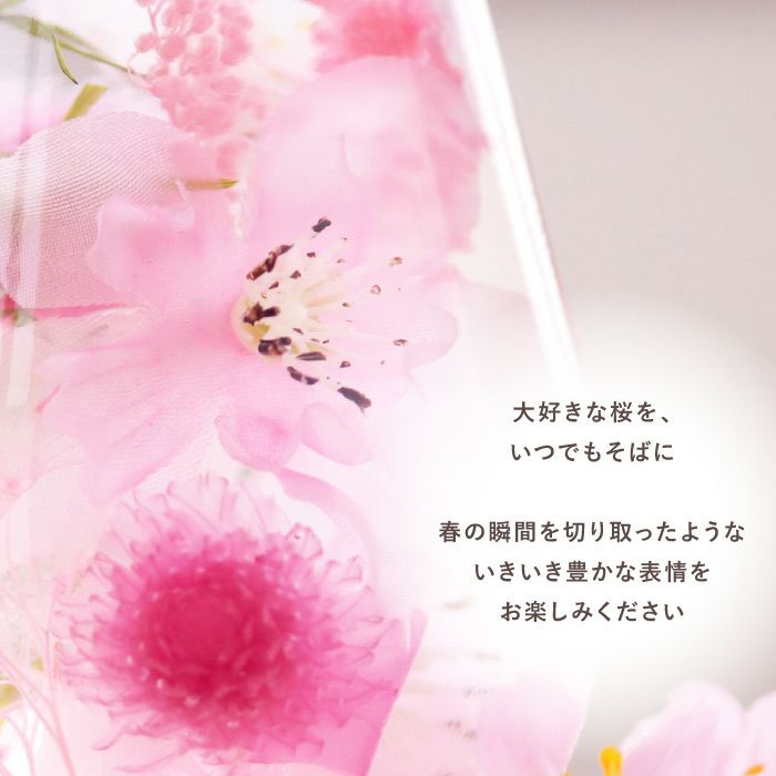 桜 ハーバリウム・Lサイズ