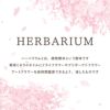 桜 ハーバリウム・Lサイズ