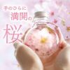 桜 ハーバリウム・Sサイズ