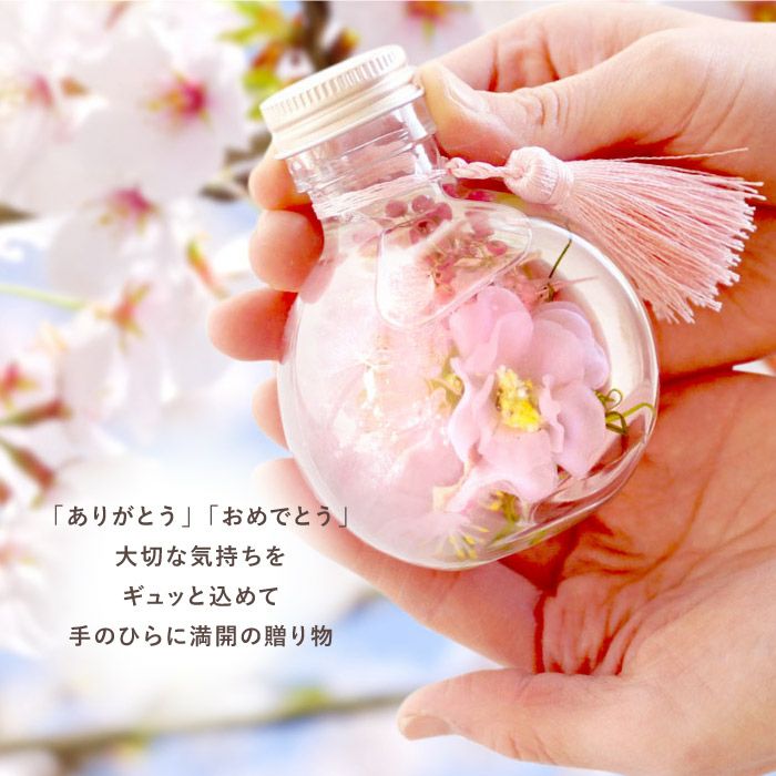 桜 ハーバリウム・Sサイズ