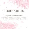 桜 ハーバリウム・Sサイズ
