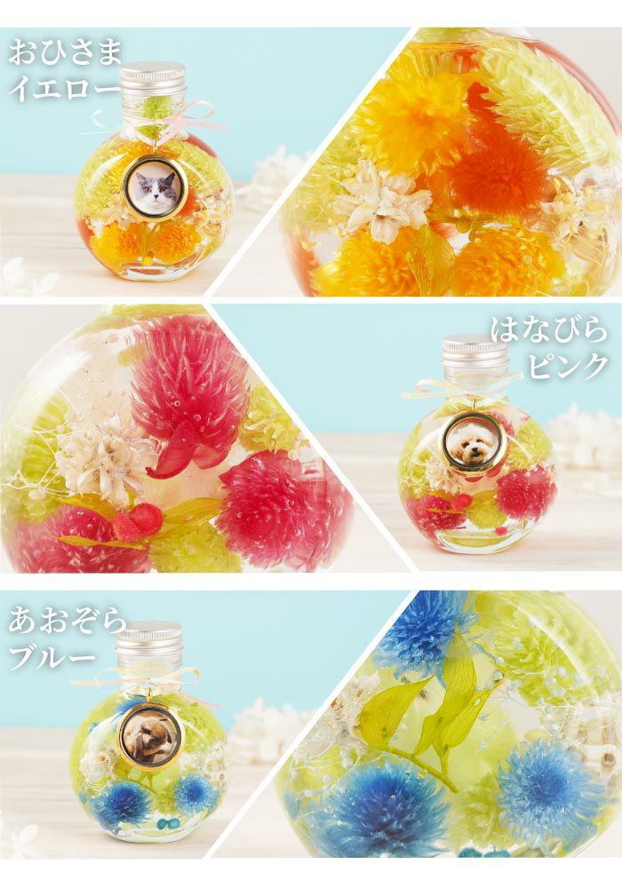 No.24 可愛いお花のマグネット♡固まるハーバリウム3個set No.24 可愛いお花のマグネット♡固まるハーバリウム3個set No.24