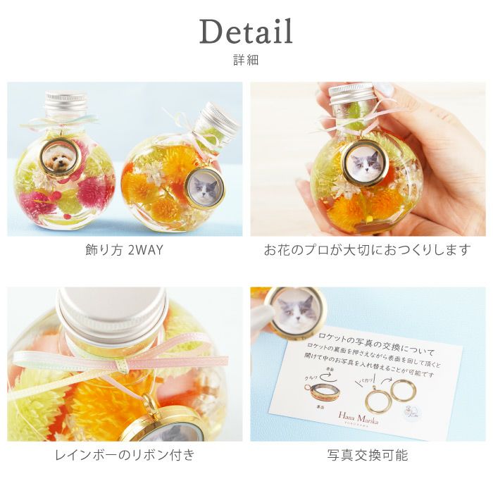 ペットちゃんのふわふわメモリーハーバリウム