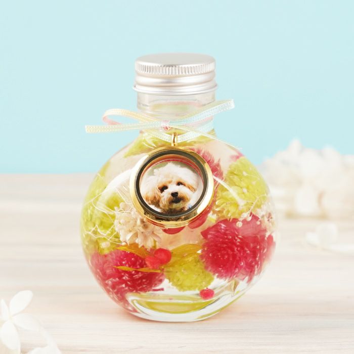 kitten☆様 オ―ダ―窓口 ハ―バリウム お供え 仏花