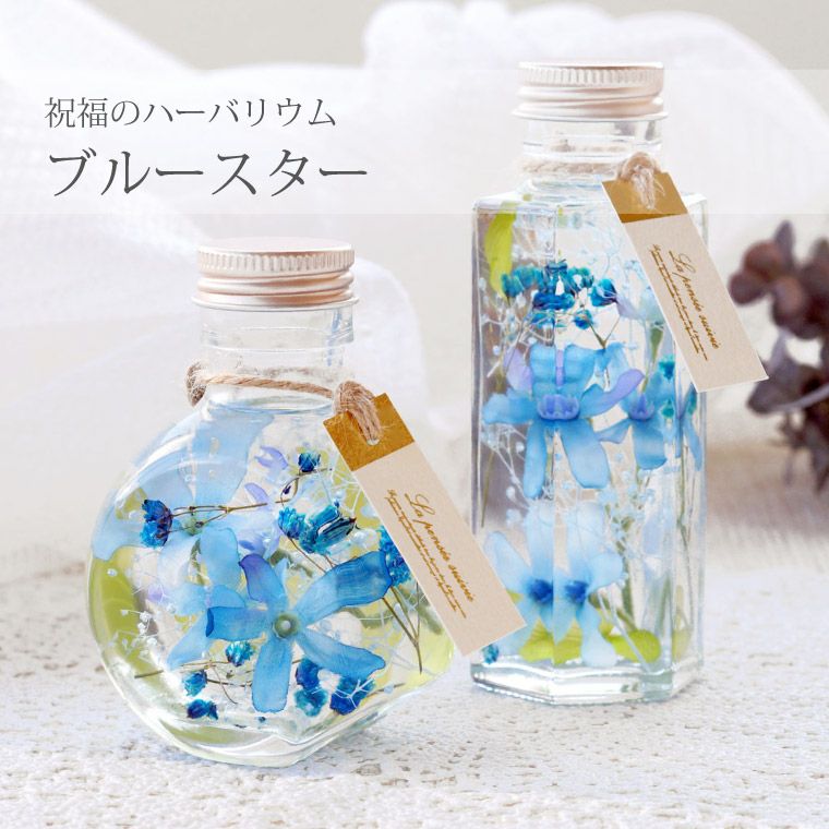 ブルースター ハーバリウム・Sサイズ』｜横浜花まりか フラワーギフト店