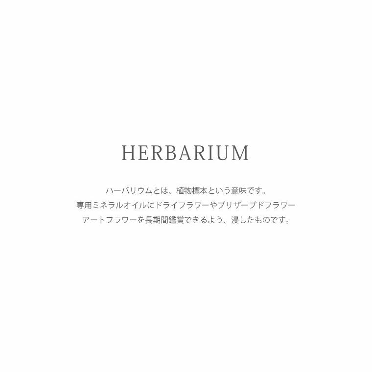 ブルースター ハーバリウム・Sサイズ