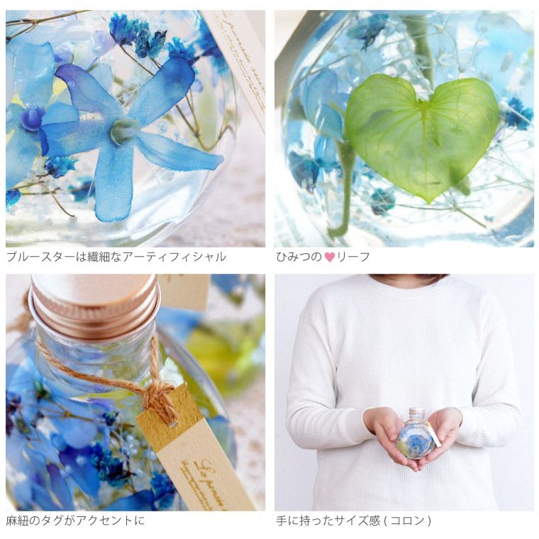 ブルースター ハーバリウム・Sサイズ