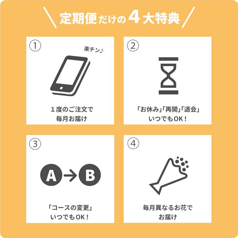 定期便 花々BOX 3回・Sサイズ Bコース 生花