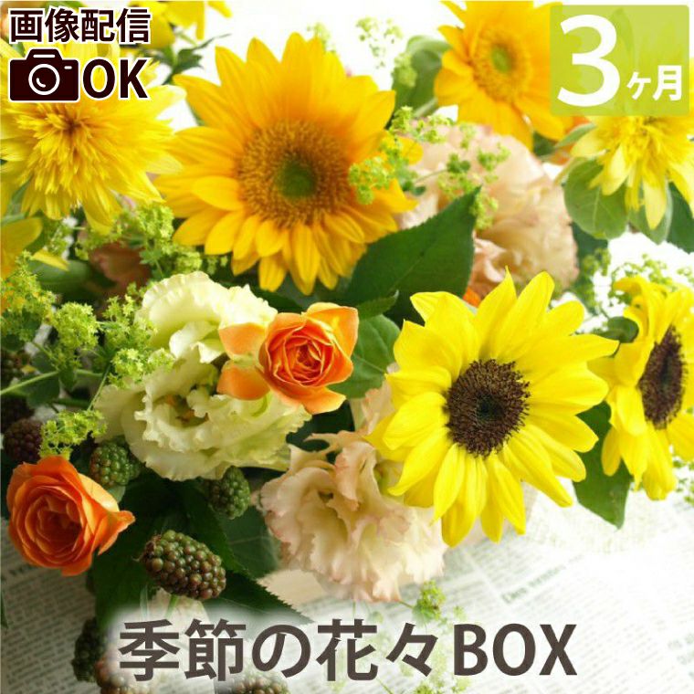 定期便 花々BOX 3回・Mサイズ Cコース 生花