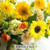 定期便 花々BOX 3回・Mサイズ Cコース 生花