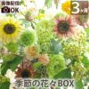 定期便 花々BOX 3回・Lサイズ Dコース 生花