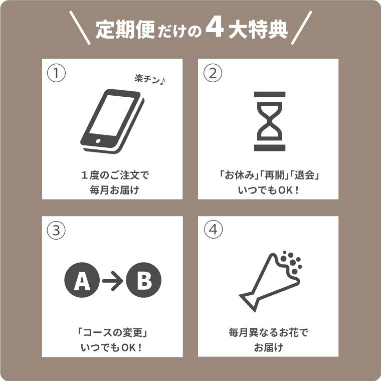 定期便 花々BOX 6回・Lサイズ Dコース 生花