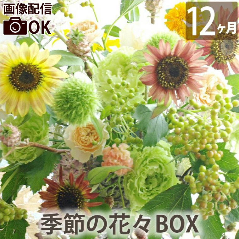 定期便 花々BOX 12回・Lサイズ Dコース 生花