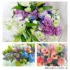 定期便 花々BOX 12回・Lサイズ Dコース 生花