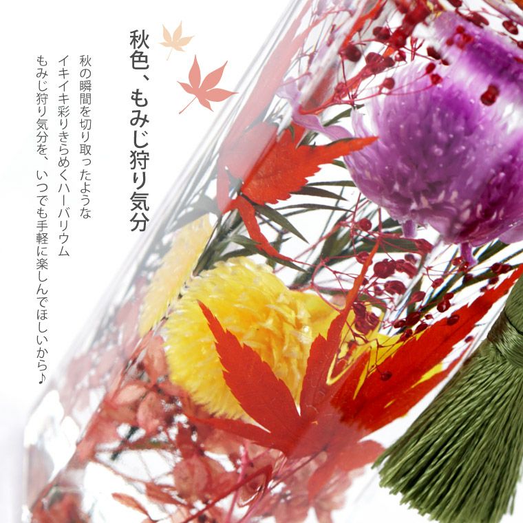 紅葉 もみじ ハーバリウム・Sサイズ