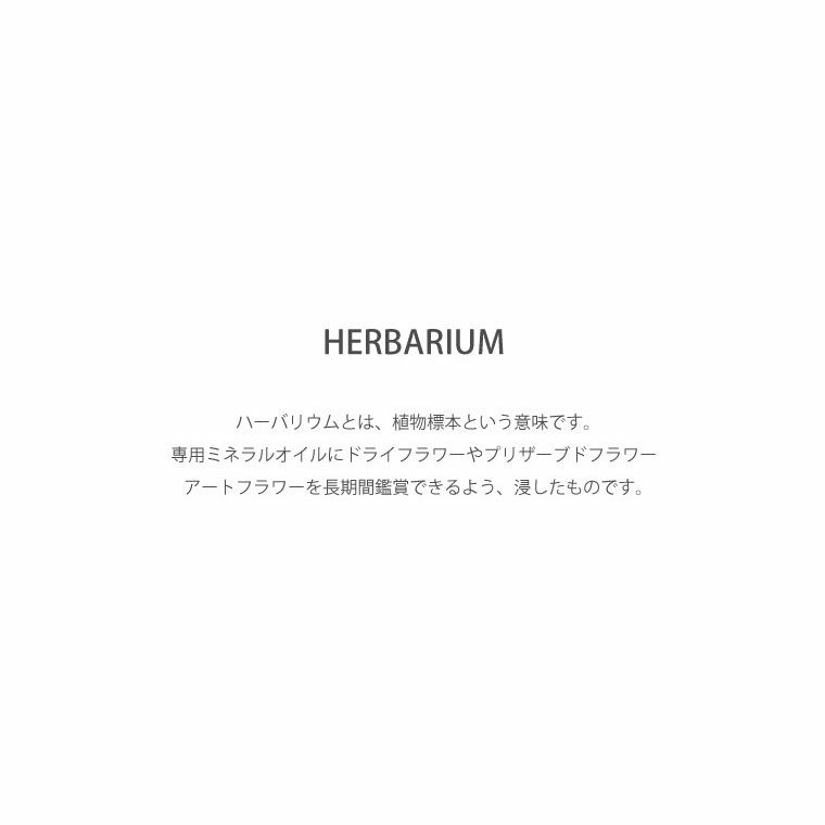 紅葉 もみじ ハーバリウム・Sサイズ