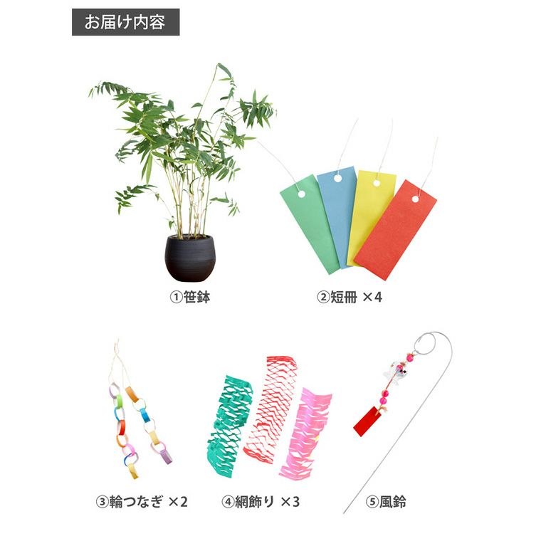 風鈴 短冊 飾り付き 七夕の笹飾り 鉢植え