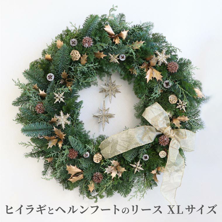 ヒイラギとヘルンフートのクリスマスリース・生 55cm 』 | 横浜花 
