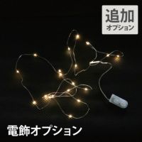 LED電飾 オプション