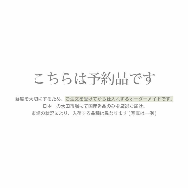 チューリップの花束 ・10本 生花