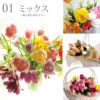 チューリップの花束 ・10本 生花