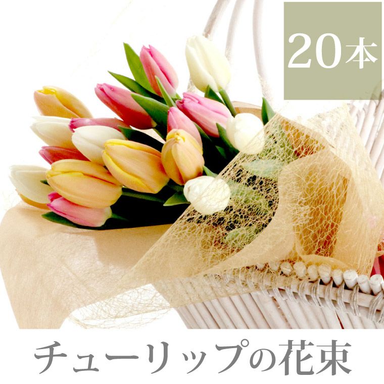 チューリップの花束 ・20本』 生花 | 横浜花まりか フラワーギフト店