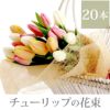 チューリップの花束 ・20本 生花